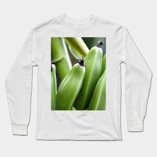 Bananas (Musa Ornata) Long Sleeve T-Shirt